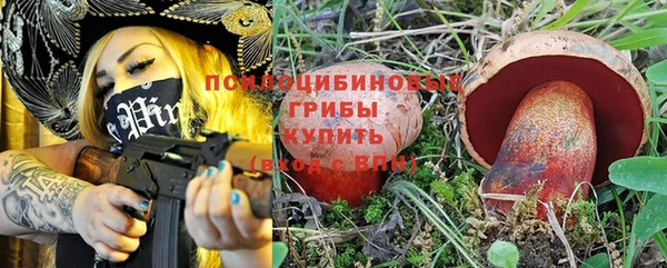 Альфа ПВП Богородск