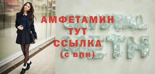 ГАЛЛЮЦИНОГЕННЫЕ ГРИБЫ Богданович