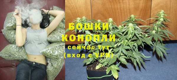 сатива Богородицк