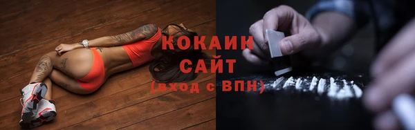 сатива Богородицк