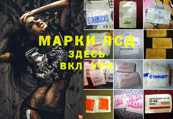 сатива Богородицк