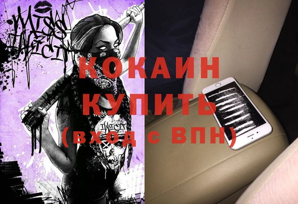 сатива Богородицк