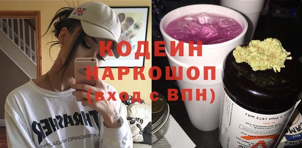 ГАЛЛЮЦИНОГЕННЫЕ ГРИБЫ Богданович