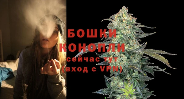сатива Богородицк