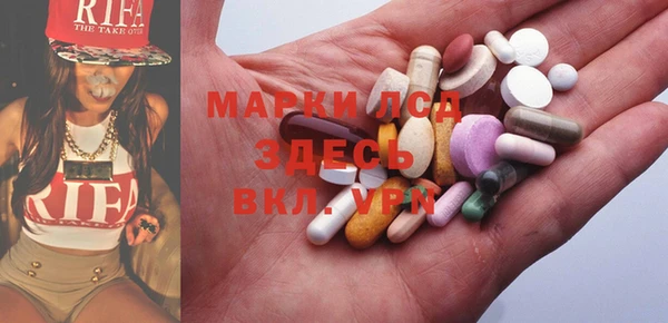 ГАЛЛЮЦИНОГЕННЫЕ ГРИБЫ Богданович