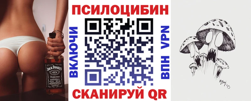 купить наркотик Хотьково Галлюциногенные грибы Psilocybe
